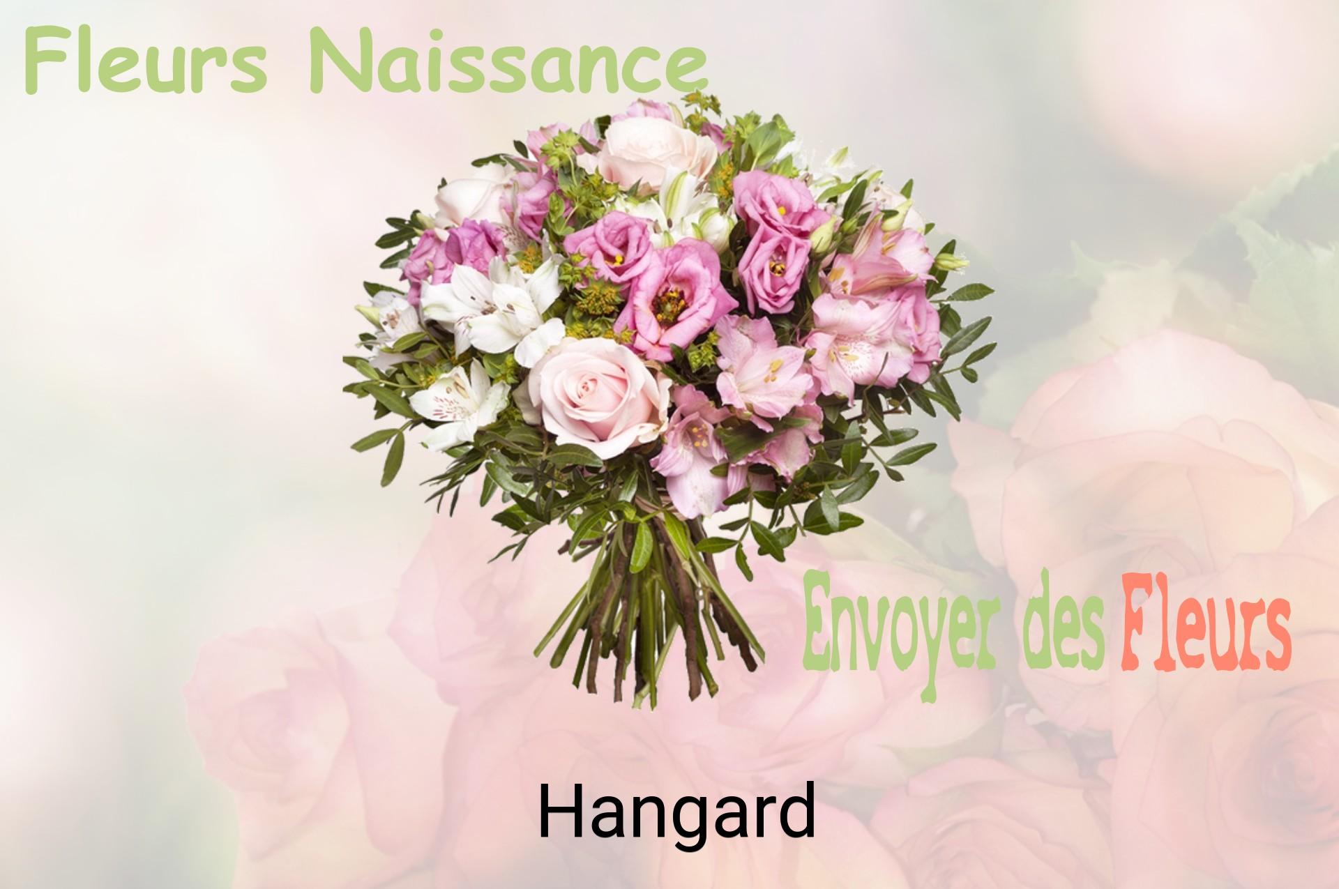 Bouquet de fleurs de naissance livré à Hangard